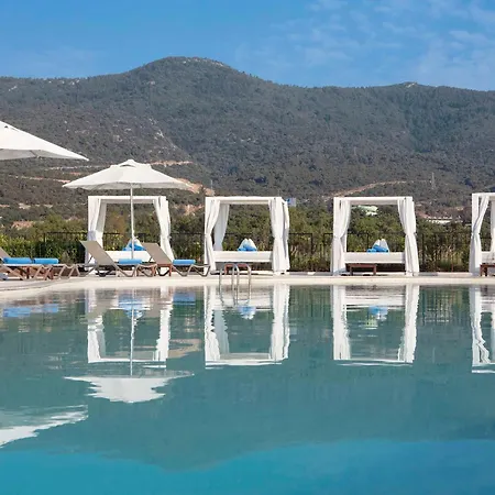 Susona Bodrum, Lxr & 托尔巴