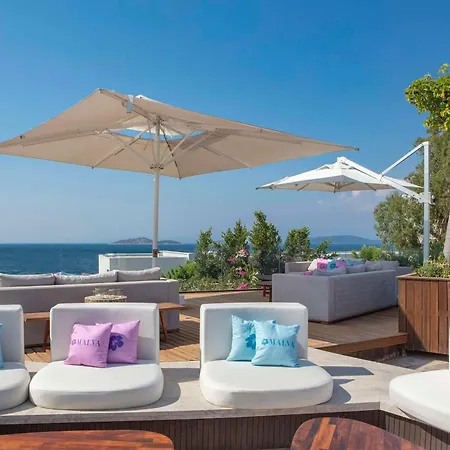 Susona Bodrum, Lxr &